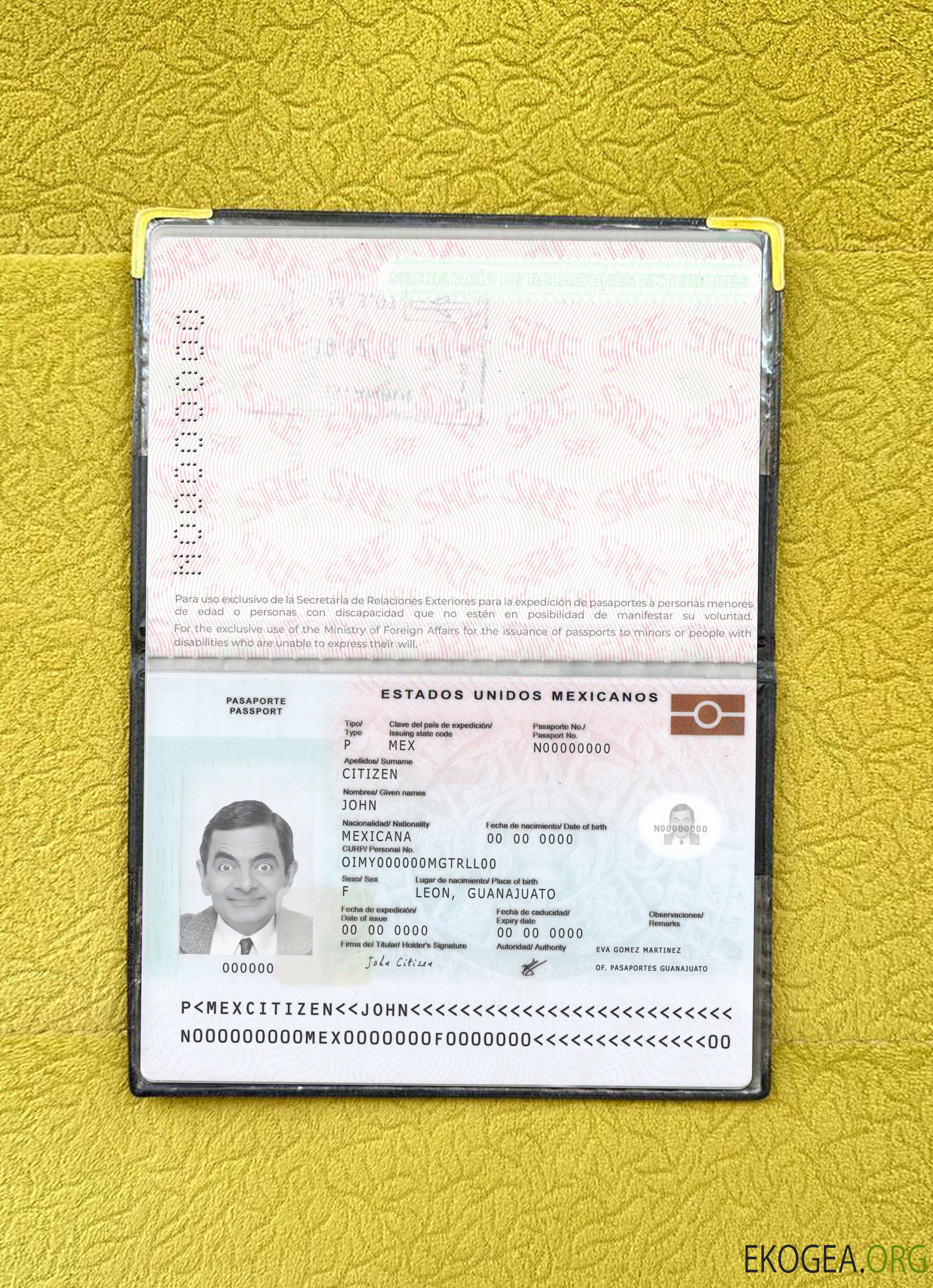 Nouveau photolook du passeport mexicain 2022 présent